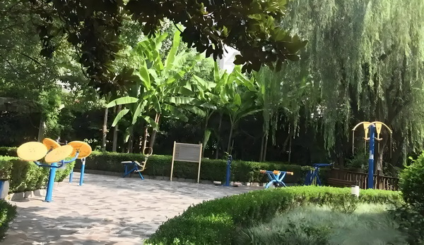 深户具备哪些条件_预售惨淡人气暴跌谁也救不了“狂妄自大”的那英 猛扇耳光两个前就男方冲上